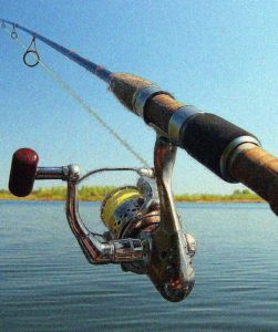 how-to-choose-the-best-spinning-reel-10Agust2016 copy