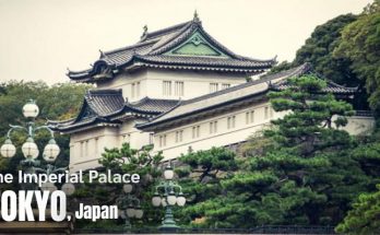 Tokyo Travel Guide: The Best Things to See, Do and Explore in Tokyo