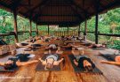 How To Prepare for an Unforgettable Health & Wellness Experience in Bali