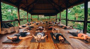 How To Prepare for an Unforgettable Health & Wellness Experience in Bali