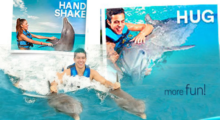 Dolphin Discovery Cozumel: The Ultimate Marine Adventure
